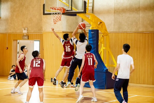 Les différents types de course en aviron