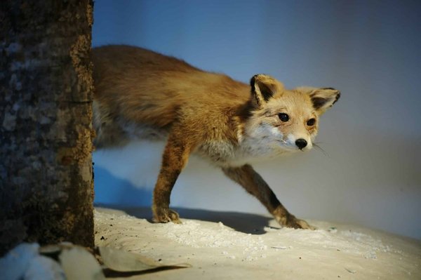 La danse fitness pour sculpter son corps